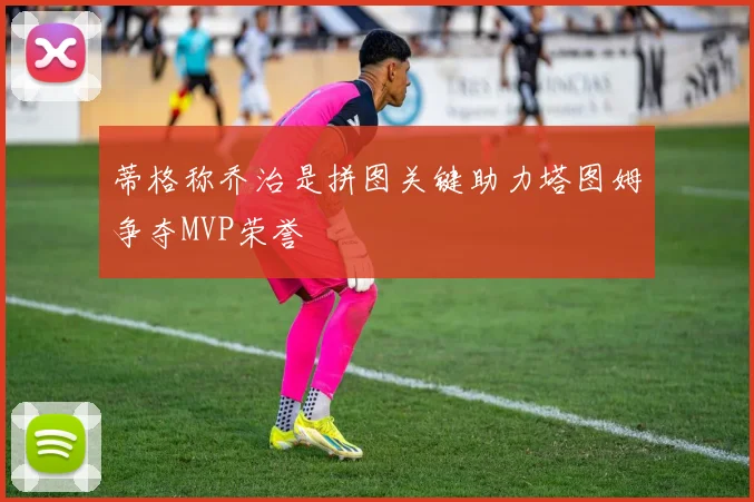 蒂格称乔治是拼图关键助力塔图姆争夺MVP荣誉